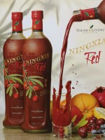 Wolfsbeerensaft 1 Fl.